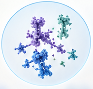 Molecular inventory